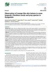 Detection of Mange-Like Skin Lesions on Snow Leopard (Panthera Uncia) and Prey Species in Kyrgyzstan