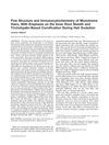 Fine Structure and Immunocytochemistry of Monotreme Hairs, with Emphasis on the Inner Root Sheath and Trichohyalin-Based Cornification During Hair Evolution