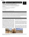 A Phytochemical and Pharmacological Review on Cynomorium Songaricum as Functional and Medicinal Food