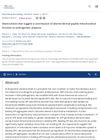 Observations Suggesting a Contribution of Altered Dermal Papilla Mitochondrial Function to Androgenetic Alopecia