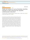 Single-Cell Analysis of Murine Fibroblasts Identifies Neonatal to Adult Switching That Regulates Cardiomyocyte Maturation