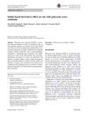 Effect of Indole-Based Derivatives on Rats with Polycystic Ovary Syndrome
