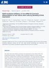 EZH2-Mediated Inhibition of MicroRNA-22 Promotes Differentiation of Hair Follicle Stem Cells by Elevating STK40 Expression