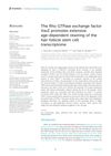 The Rho GTPase Exchange Factor Vav2 Promotes Extensive Age-Dependent Rewiring of the Hair Follicle Stem Cell Transcriptome
