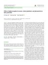 Effect of Alpha-Tocopheryl Acetate, Retinyl Palmitate, and Phytantriol on Hair Protection