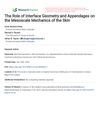 The Role of Interface Geometry and Appendages on the Mesoscale Mechanics of the Skin
