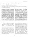 Cutaneous Androgen Metabolism: Basic Research And Clinical Perspectives