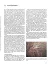 Lichen Planopilaris: A Rare Inflammatory Cicatricial Alopecia