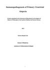 Immunopathogenesis of Primary Cicatricial Alopecia