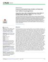 Hierarchical Patterning Modes Orchestrate Hair Follicle Morphogenesis