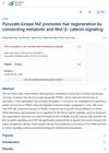 Pyruvate Kinase M2 Promotes Hair Regeneration by Connecting Metabolic and Wnt/β-Catenin Signaling