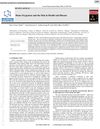 Heme Oxygenase and the Skin in Health and Disease