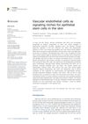 Vascular Endothelial Cells as Signaling Niches for Epithelial Stem Cells in the Skin