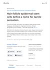 Decision Letter: Hair Follicle Epidermal Stem Cells Define a Niche for Tactile Sensation