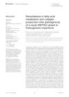 Perturbations in Fatty Acid Metabolism and Collagen Production Infer Pathogenicity of a Novel MBTPS2 Variant in Osteogenesis Imperfecta