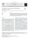 The ITGB6 Gene: Its Role in Experimental and Clinical Biology