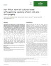 Hair Follicle Stem Cell Cultures Reveal Self-Organizing Plasticity of Stem Cells and Their Progeny