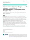 Genomic And Transcriptomic Landscape To Decipher The Genetic Basis Of Hyperpigmentation In Lanping Black-Boned Sheep