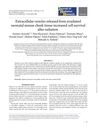 Extracellular Vesicles Released from Irradiated Neonatal Mouse Cheek Tissue Increased Cell Survival After Radiation
