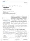 Epidermal Stem Cell Diversity and Quiescence