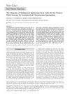 The Majority of Multipotent Epidermal Stem Cells Do Not Protect Their Genome by Asymmetrical Chromosome Segregation