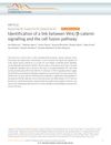 Identification of a Link Between Wnt/β-Catenin Signaling and the Cell Fusion Pathway