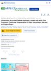 Ultrasound-Activated GelMA Hydrogel Loaded with MSC-EVs Promotes Functional Regeneration of Skin Vasculature, Nerves, and Appendages