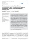 Melatonin Protects Cochlear Hair Cells from Nicotine-Induced Injury Through Inhibiting Apoptosis, Inflammation, Oxidative Stress, and Endoplasmic Reticulum Stress