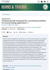 Titanium Dioxide Nanoparticles: A Promising Candidate for Wound Healing Applications