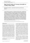 Hair Growth Activity of Crataegus Pinnatifida on C57BL/6 Mouse Model