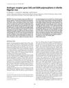 Androgen Receptor Gene CAG and GGN Polymorphisms in Infertile Nigerian Men