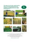 Studies of the Availability of Soil Phosphorus and Potassium in Organic Farming Systems, and Plant Adaptations to Low Phosphorus and Potassium Availability
