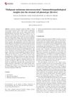 Malignant Melanoma Microecosystem: Immunohistopathological Insights Into the Stromal Cell Phenotype