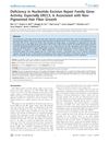 Deficiency in Nucleotide Excision Repair Family Gene Activity, Especially ERCC3, Is Associated with Non-Pigmented Hair Fiber Growth
