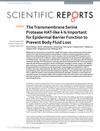 The Transmembrane Serine Protease HAT-Like 4 Is Important for Epidermal Barrier Function to Prevent Body Fluid Loss
