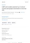 CaBP1 and 2 Enable Sustained CaV1.3 Calcium Currents and Synaptic Transmission in Inner Hair Cells