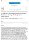 Activating Wnt/β-Catenin Signaling Pathway for Disease Therapy: Challenges and Opportunities