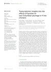 Transcriptomic Insights Into the Effects of Tyrosine on Sub-Columbian Plumage in H Line Chickens