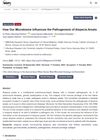 How Our Microbiome Influences the Pathogenesis of Alopecia Areata