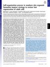 Self-Organization Process in Newborn Skin Organoid Formation Inspires Strategy to Restore Hair Regeneration of Adult Cells
