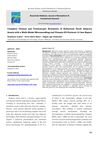 Complete Clinical and Trichoscopic Remission of Refractory Patch Alopecia Areata with a Multi-Modal Microneedling and Vitamin D3 Protocol: A Case Report