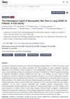 The Pathological Culprit of Neuropathic Skin Pain in Long COVID-19 Patients: A Case Series