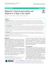 Malarone Induced Pancreatitis and Alopecia in a Dog: A Case Report