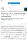 Effects of the PI3K/Akt Signaling Pathway on the Hair Inductivity of Human Dermal Papilla Cells in Hair Beads