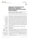 Integrated Transcriptomics and Metabolomics Analyses of Stress-Induced Murine Hair Follicle Growth Inhibition