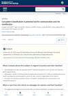 Curl Pattern Classification: A Potential Tool for Communication and Risk Stratification