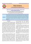 Hibiscus Rosa-Sinensis: Boon for Herbal Formulations (Soaps and Medicated Oils)