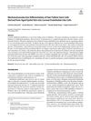 Mechanotransductive Differentiation of Hair Follicle Stem Cells Derived from Aged Eyelid Skin into Corneal Endothelial-Like Cells