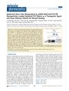 Epidermal Stem Cells Manipulated by pDNA-VEGF165/CYD-PEI Nanoparticles Loaded Gelatin/β-TCP Matrix as a Therapeutic Agent and Gene Delivery Vehicle for Wound Healing