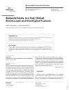 Alopecia Areata in a Dog: Clinical, Dermoscopic, and Histological Features